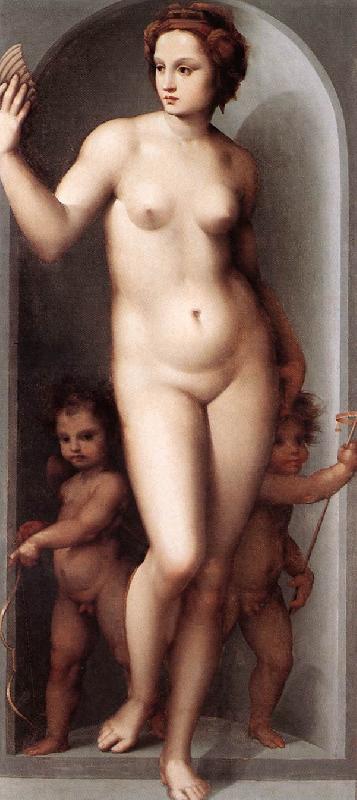 BRESCIANINO, Andrea del Venus and Two Cupids dsf oil painting image